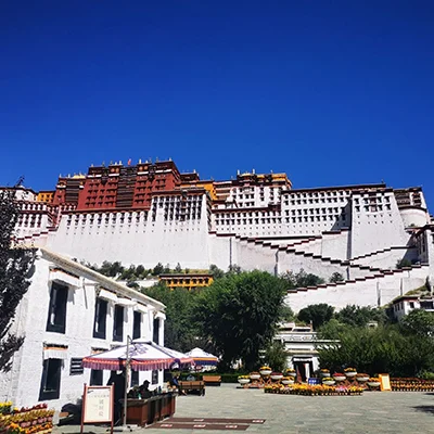 Cultural Festivals Celebrated Near the Potala Palace